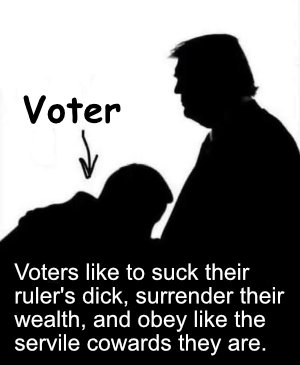 VotersSuck