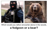 Fedgoon-or-Bear