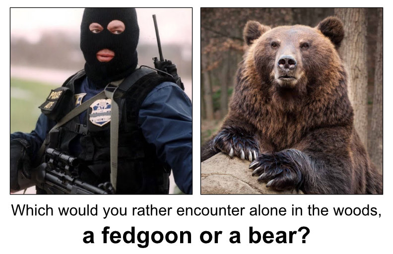 Fedgoon-or-Bear