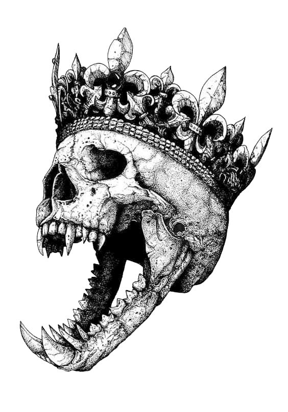 skullcrown