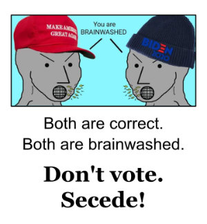 DontVoteSecede